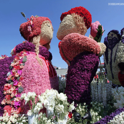 Fioritura dei tulipani in Olanda: quando andare e dove