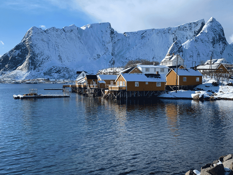 Isole Lofoten organizzazione del viaggio