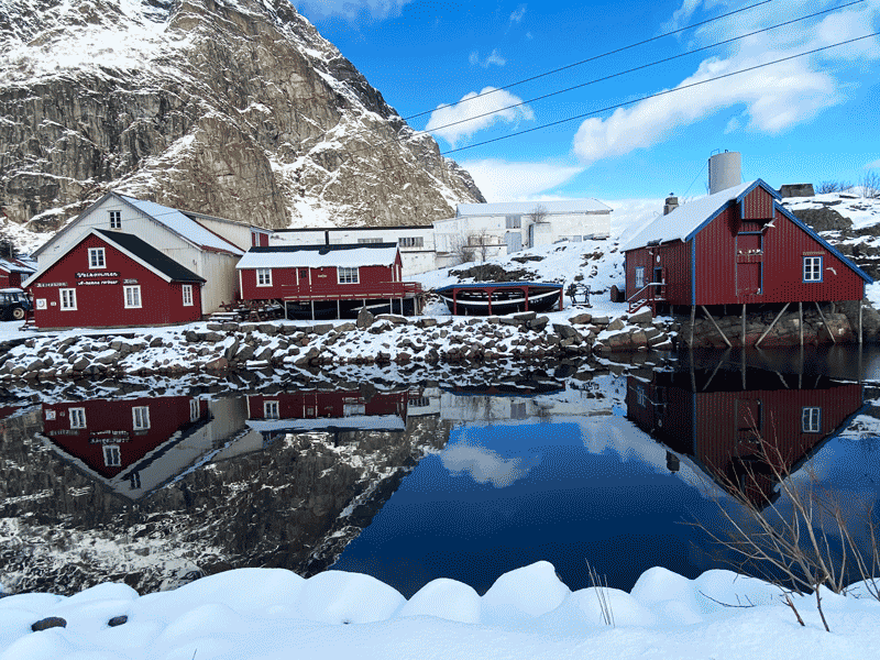 Isole Lofoten organizzazione del viaggio