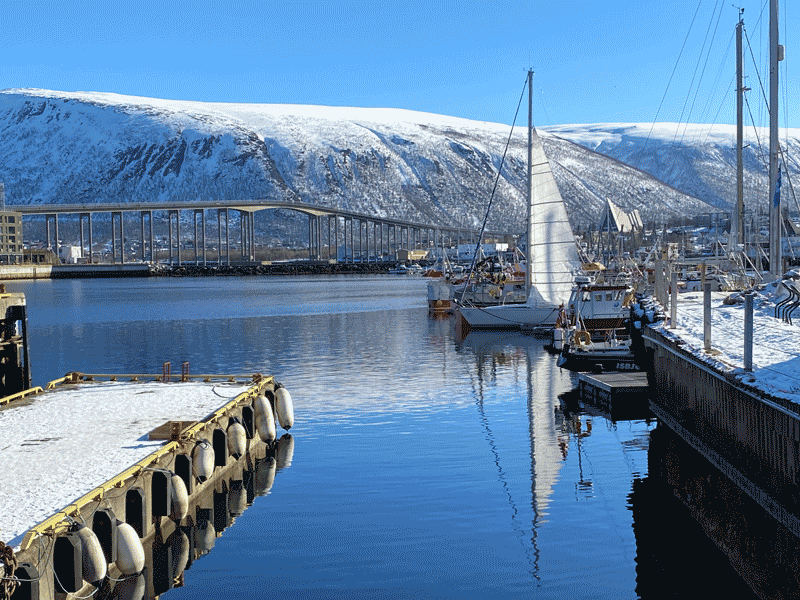 tromso cosa vedere