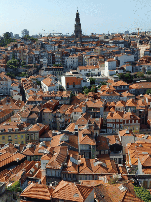 Porto cosa vedere in 2 giorni