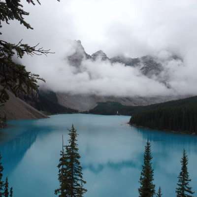 Itinerario Canada occidentale e Yellowstone